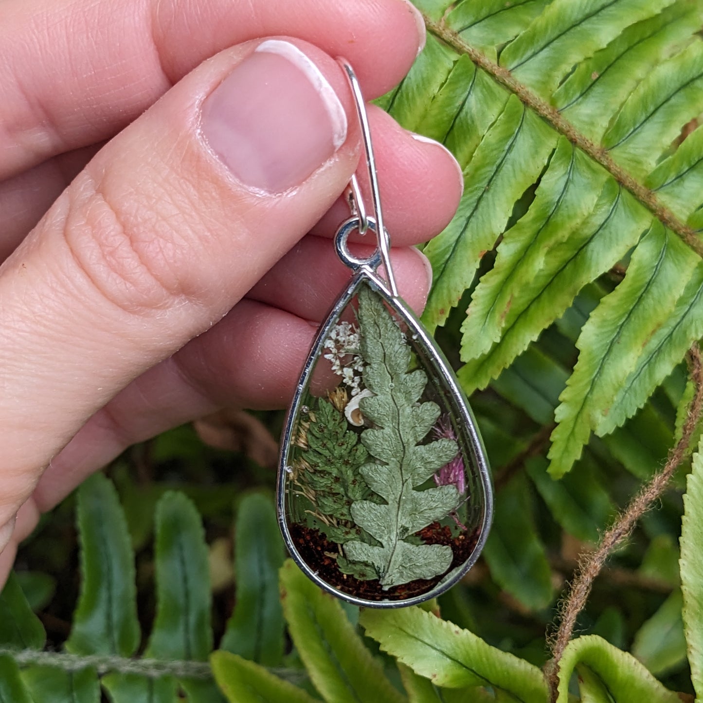 Real Mushroom Earrings, 1" round