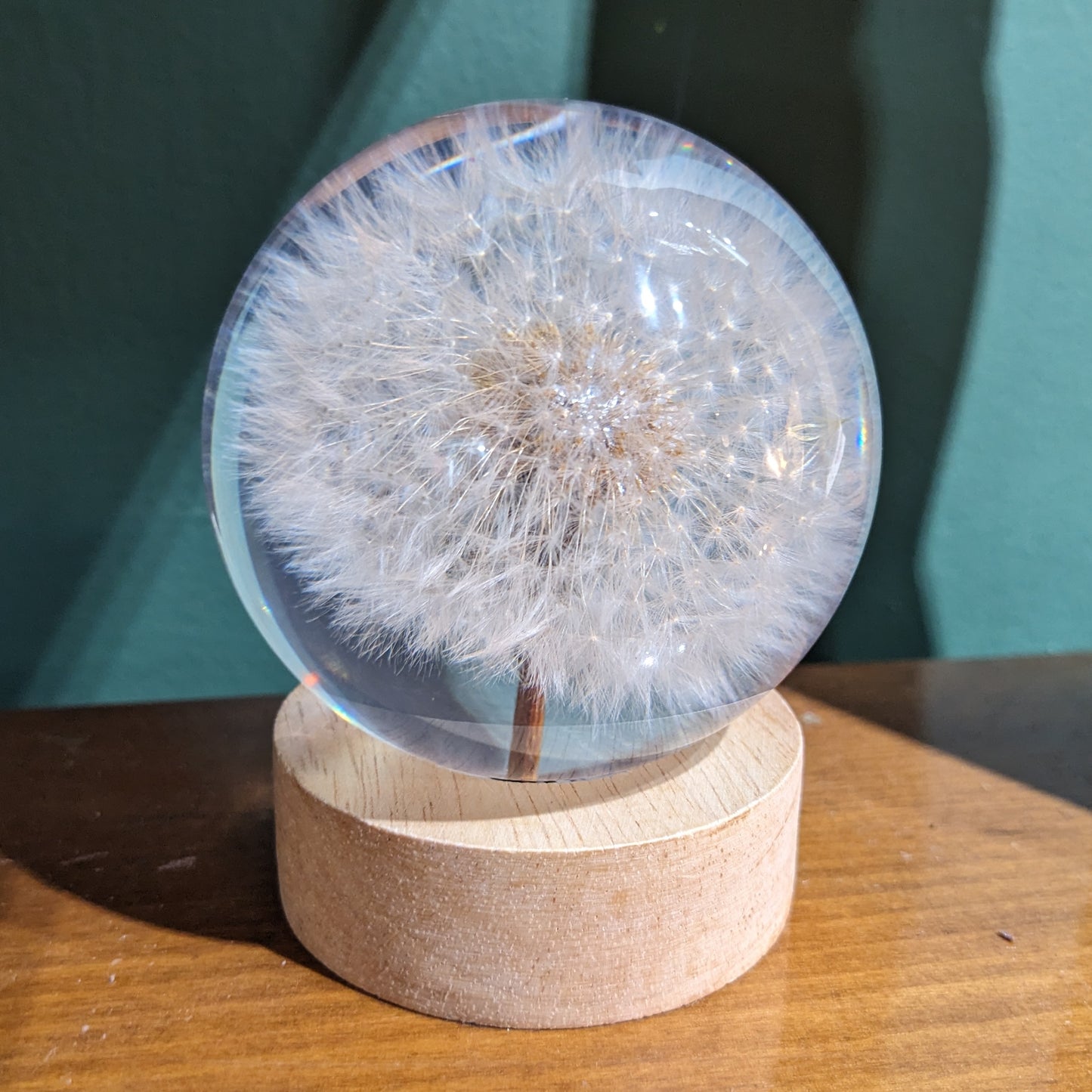 Dandelion Night Light