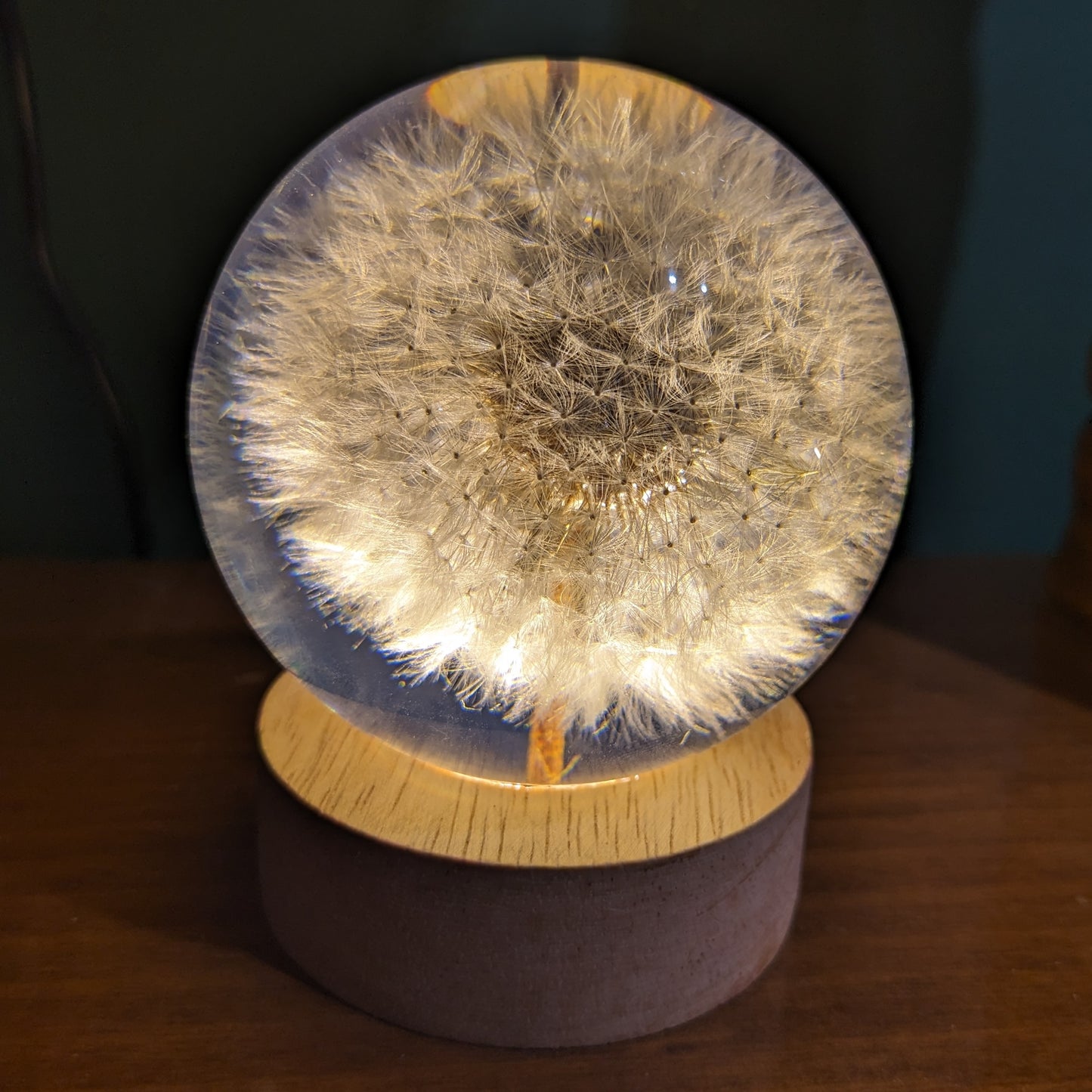 Dandelion Night Light