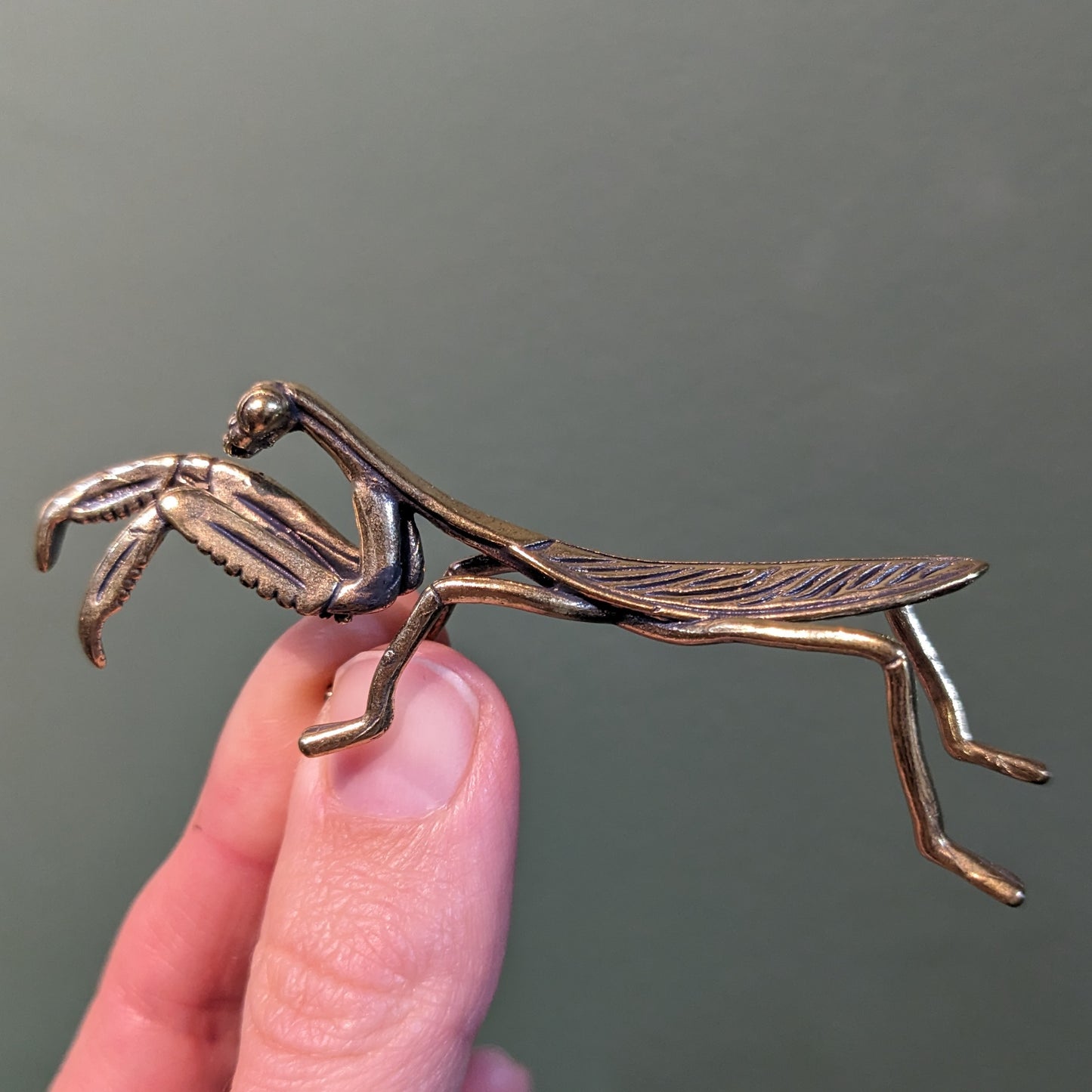 Brass Mantis