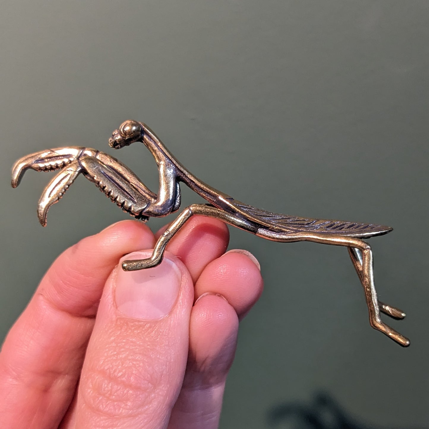Brass Mantis
