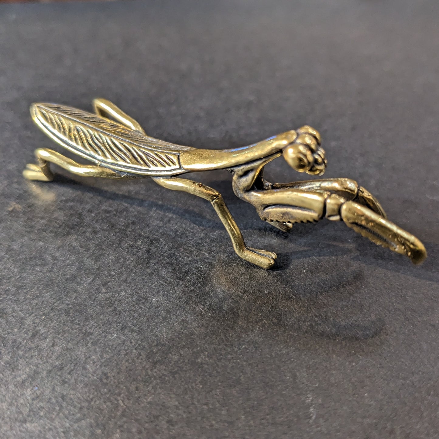 Brass Mantis