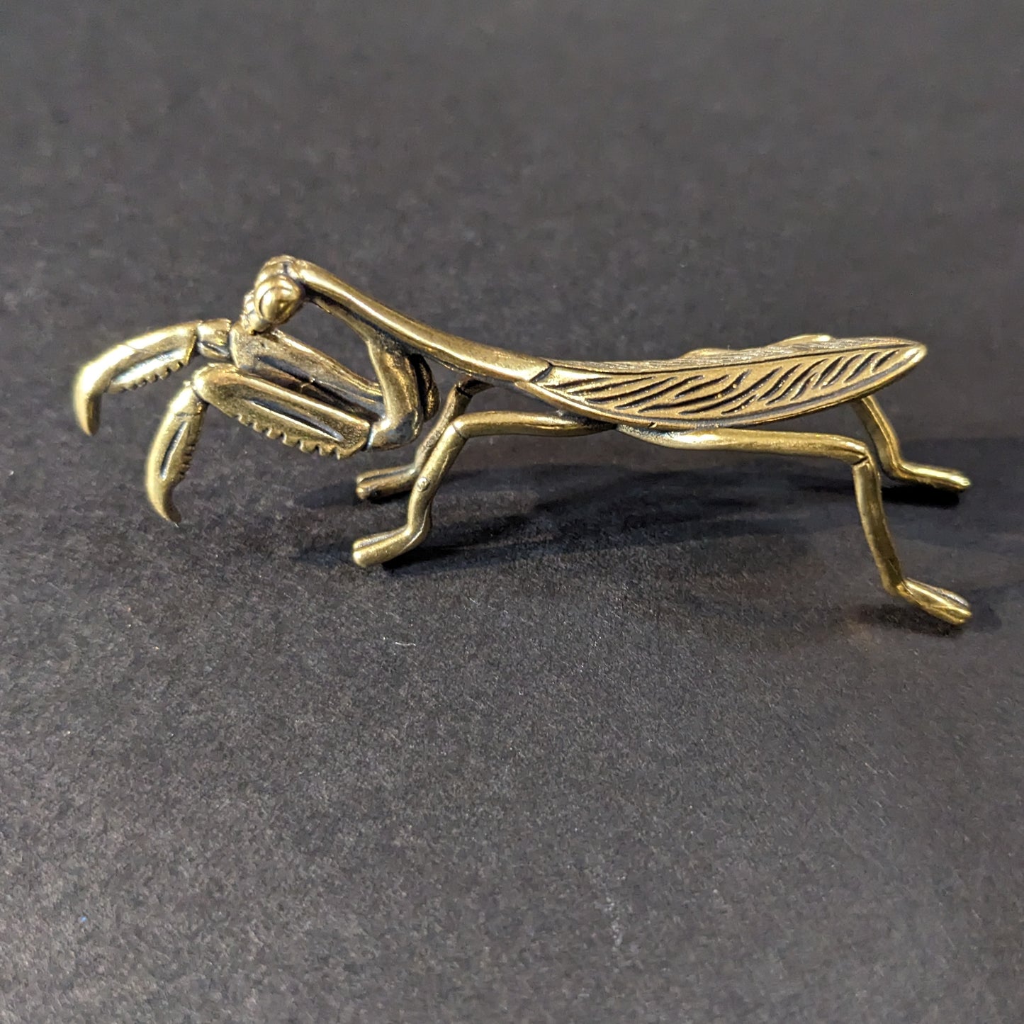 Brass Mantis