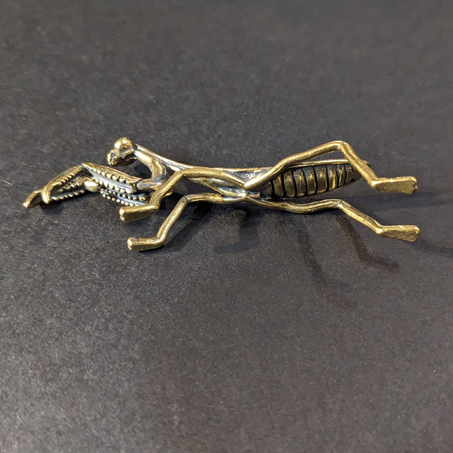 Brass Mantis