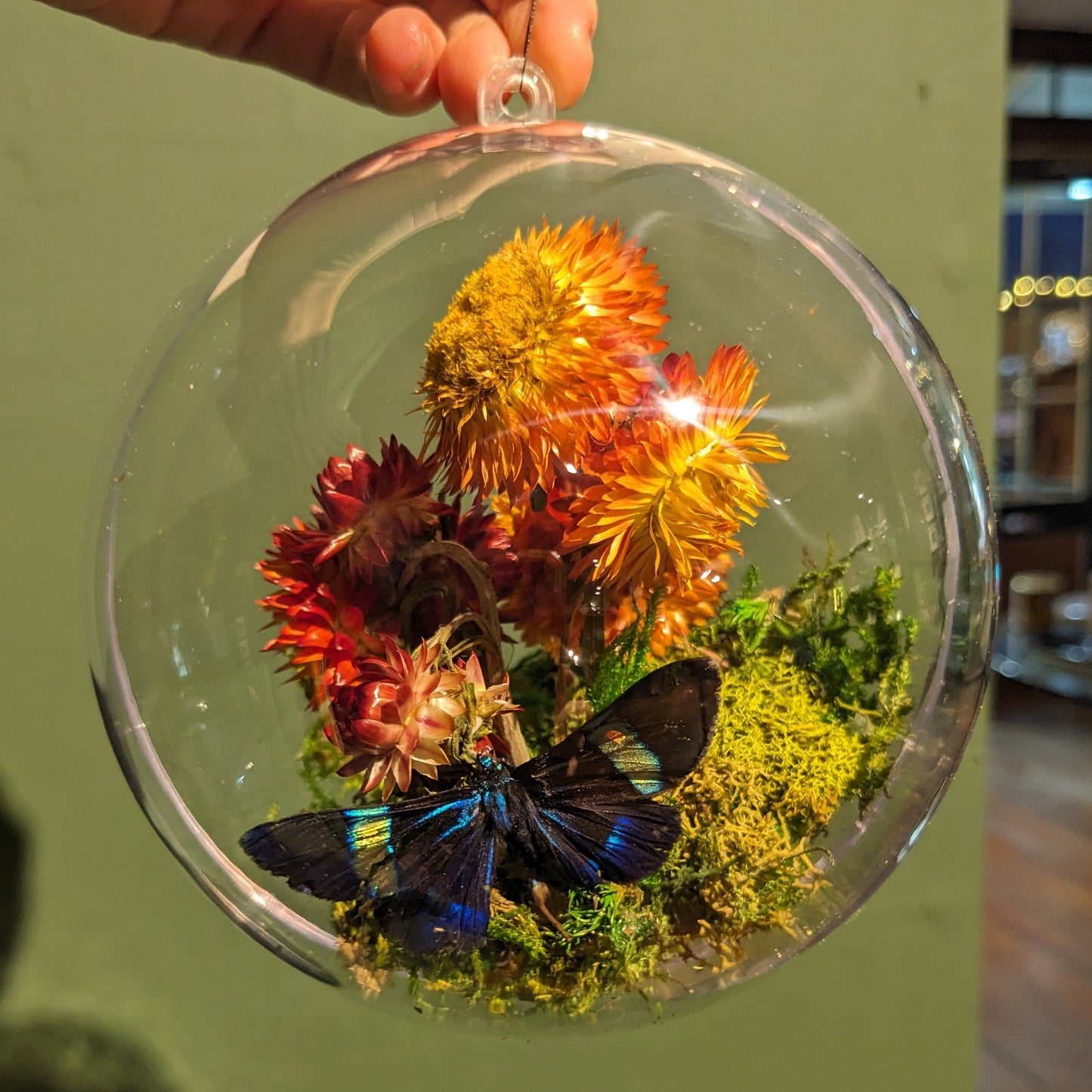 Real Butterfly Globe Ornament w/Flowers