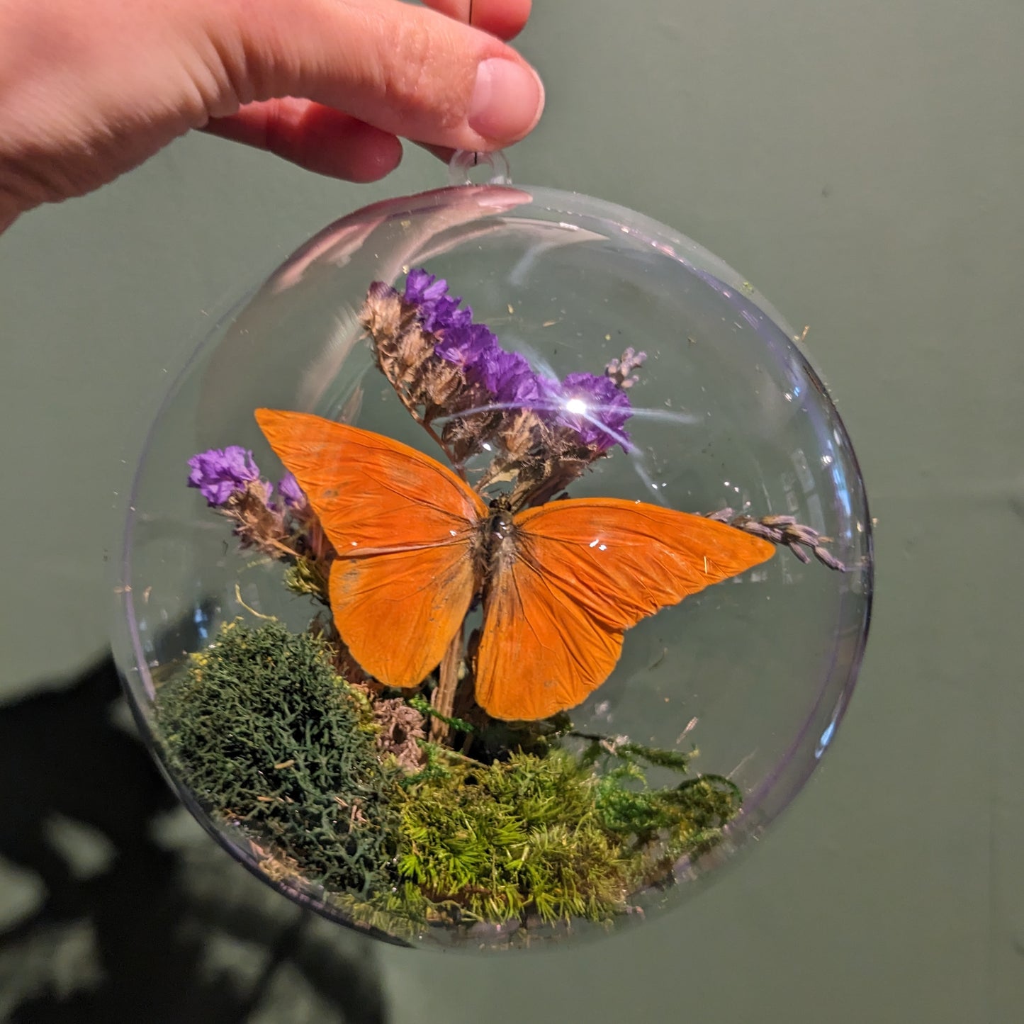 Real Butterfly Xmas Ornaments (Dec 12, 2026)