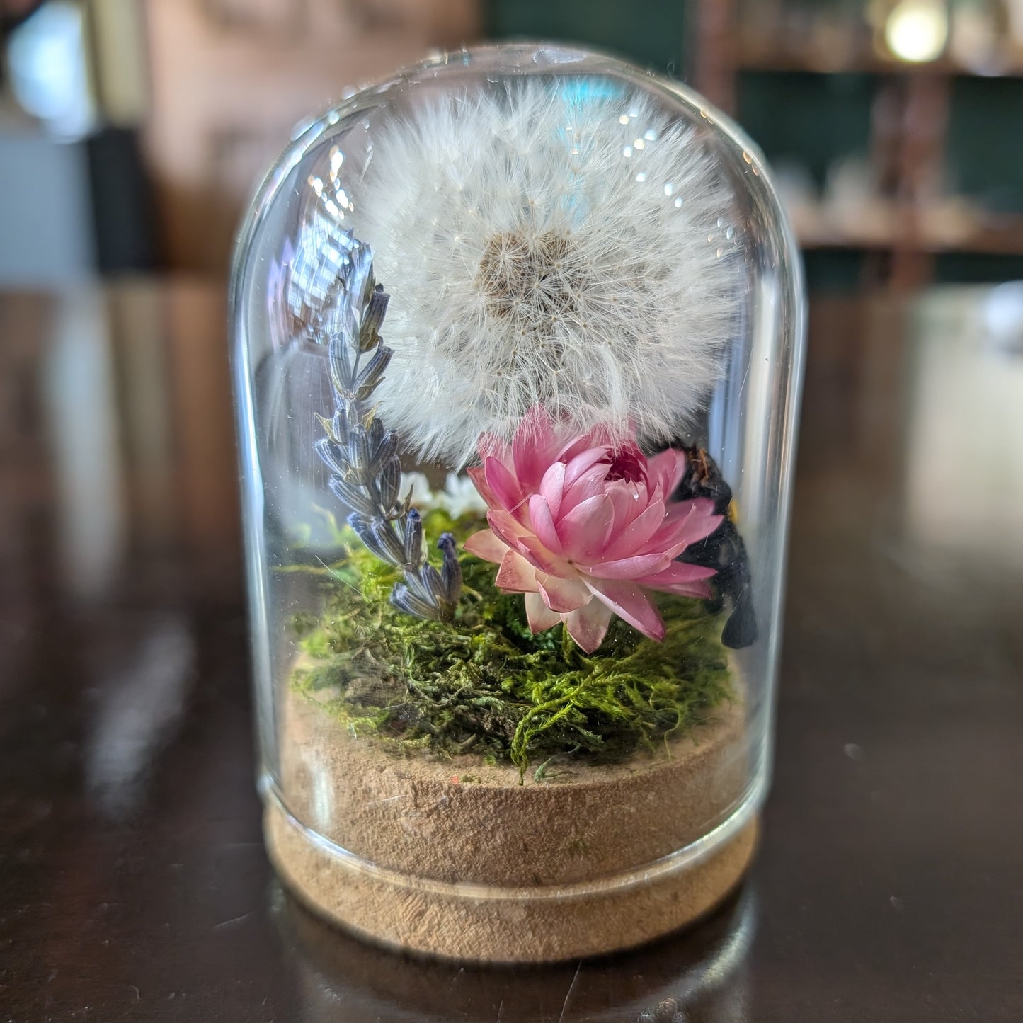 Dandelion Cloche with Carpenter Bee