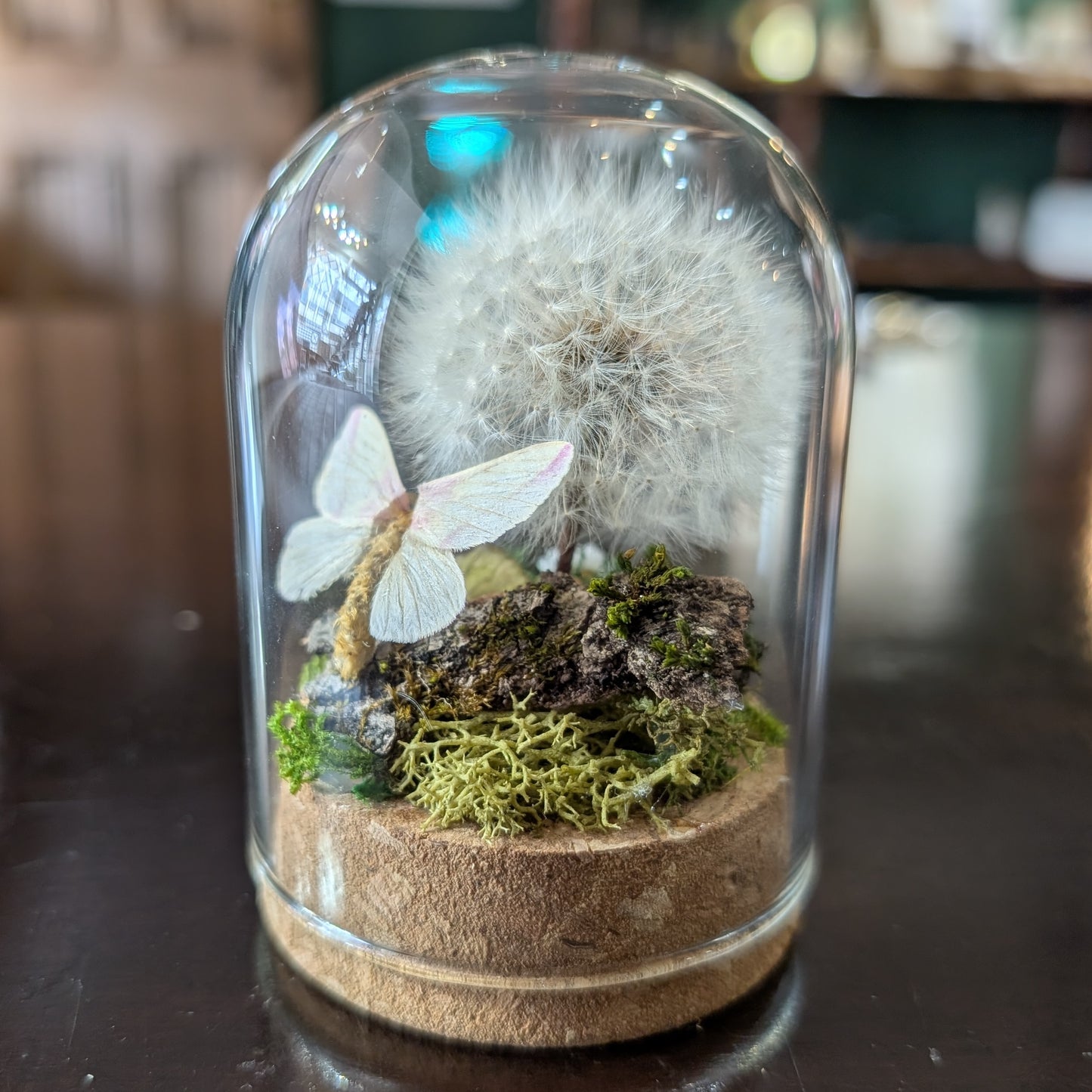 Dandelion Cloche with Rosy Maple Moth