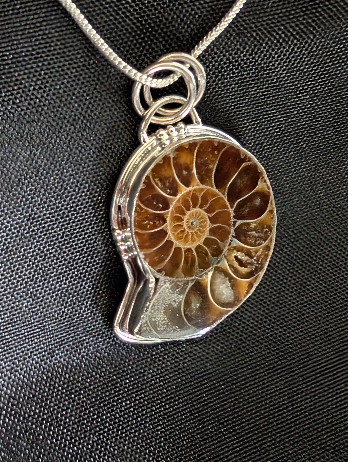Ammonite Sterling Silver Pendant