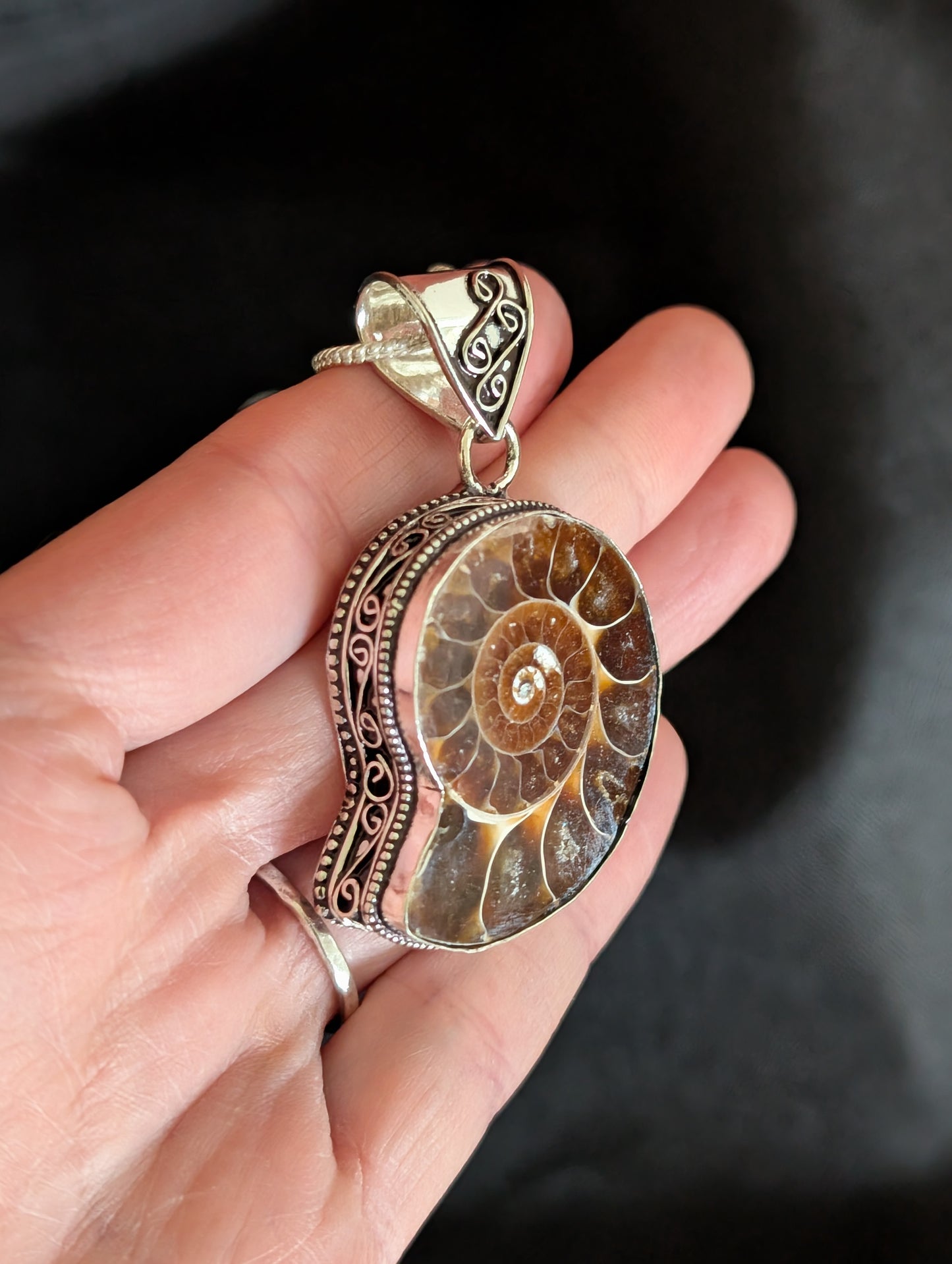 Ammonite Sterling Silver Pendant