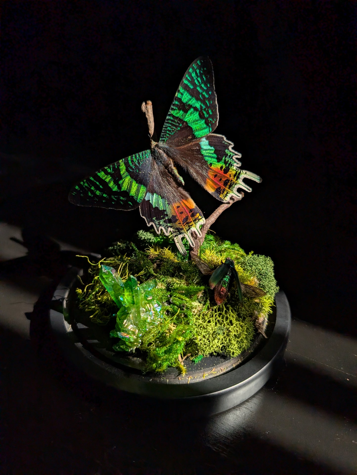 Sunset Moth Mini-World Dome Workshop