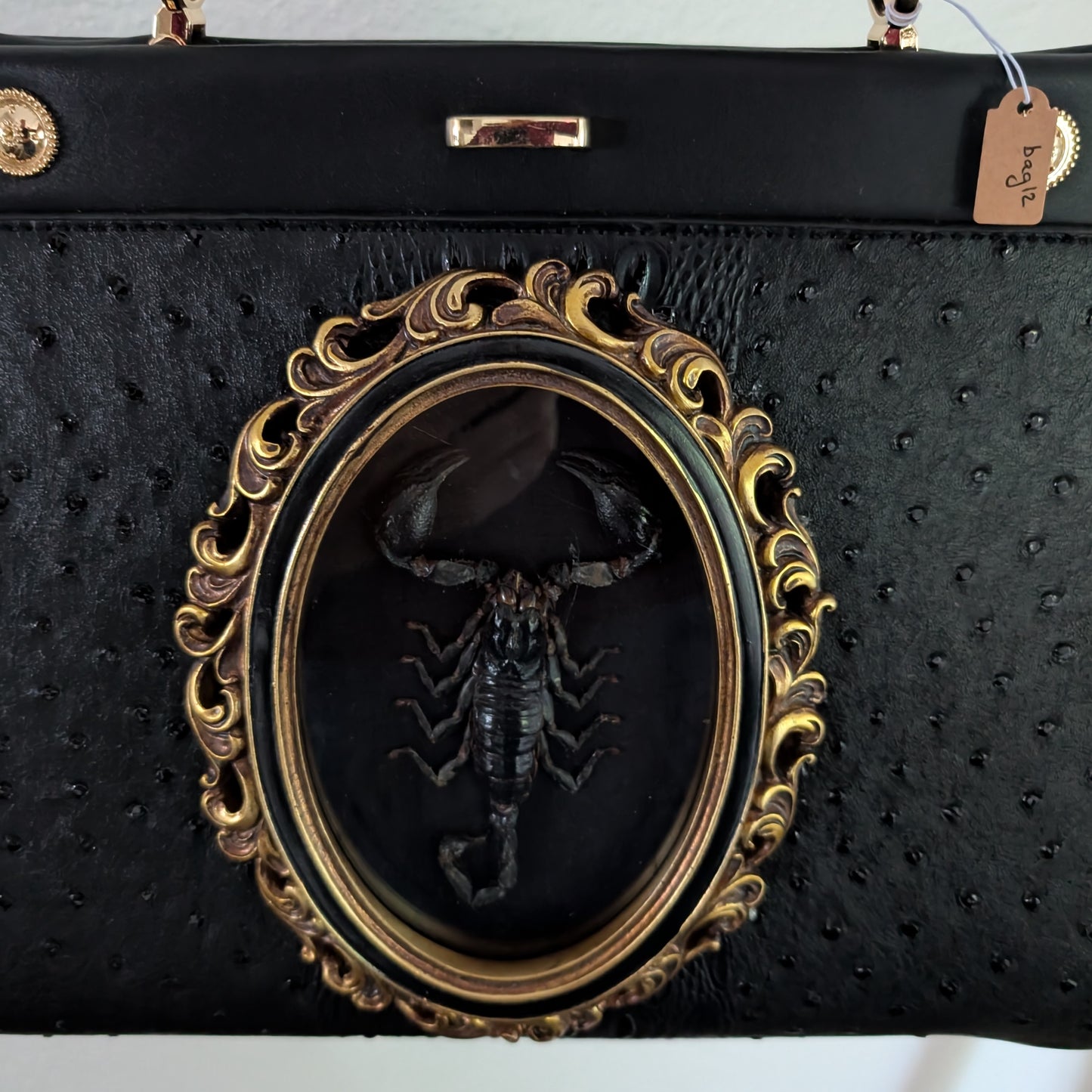 Real Scorpion Handbag