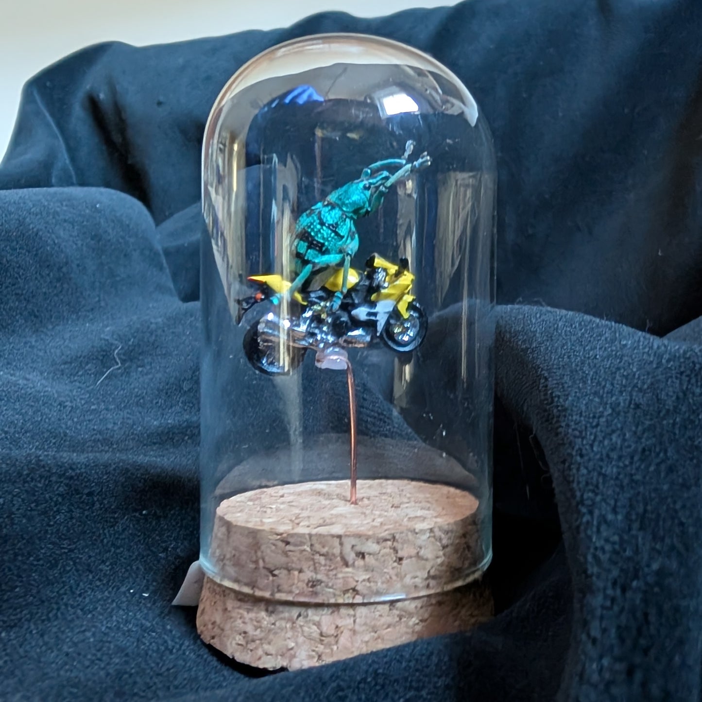 Weevil Knievel (rides a motorcycle)