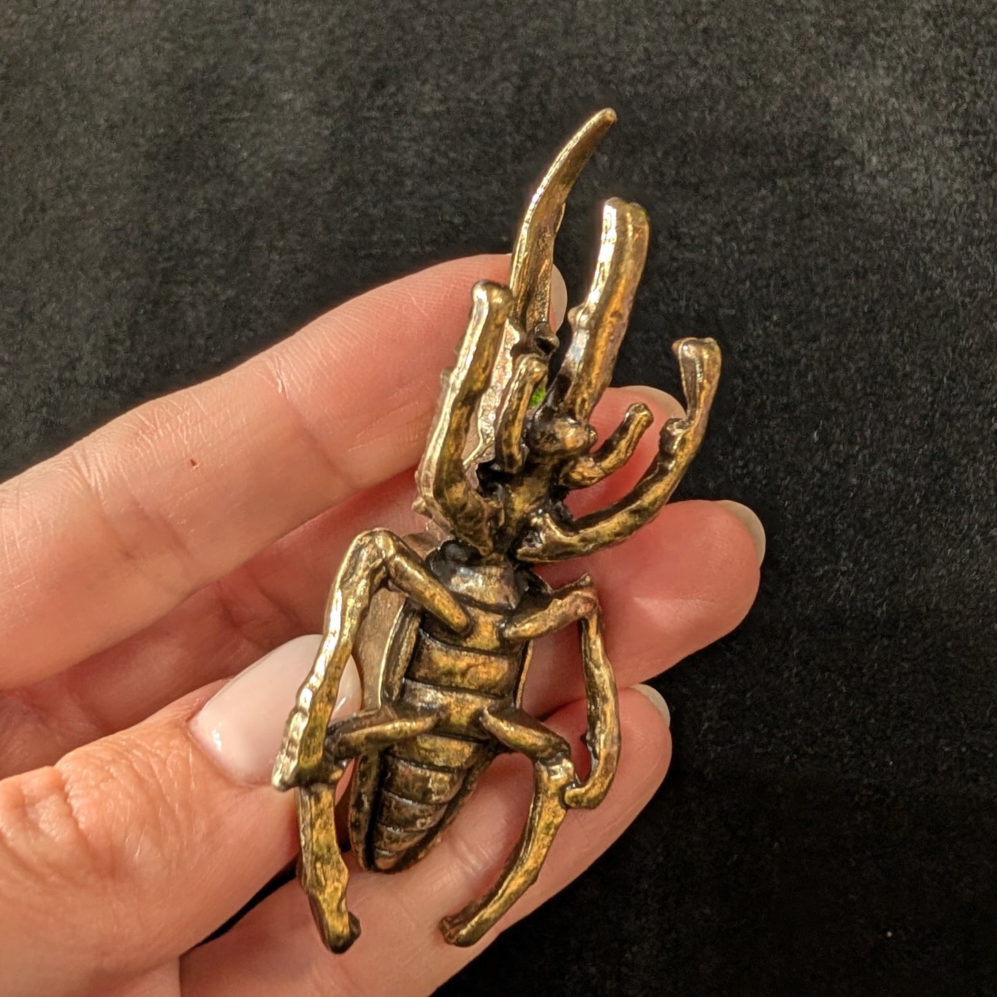 Brass Hercules Beetle