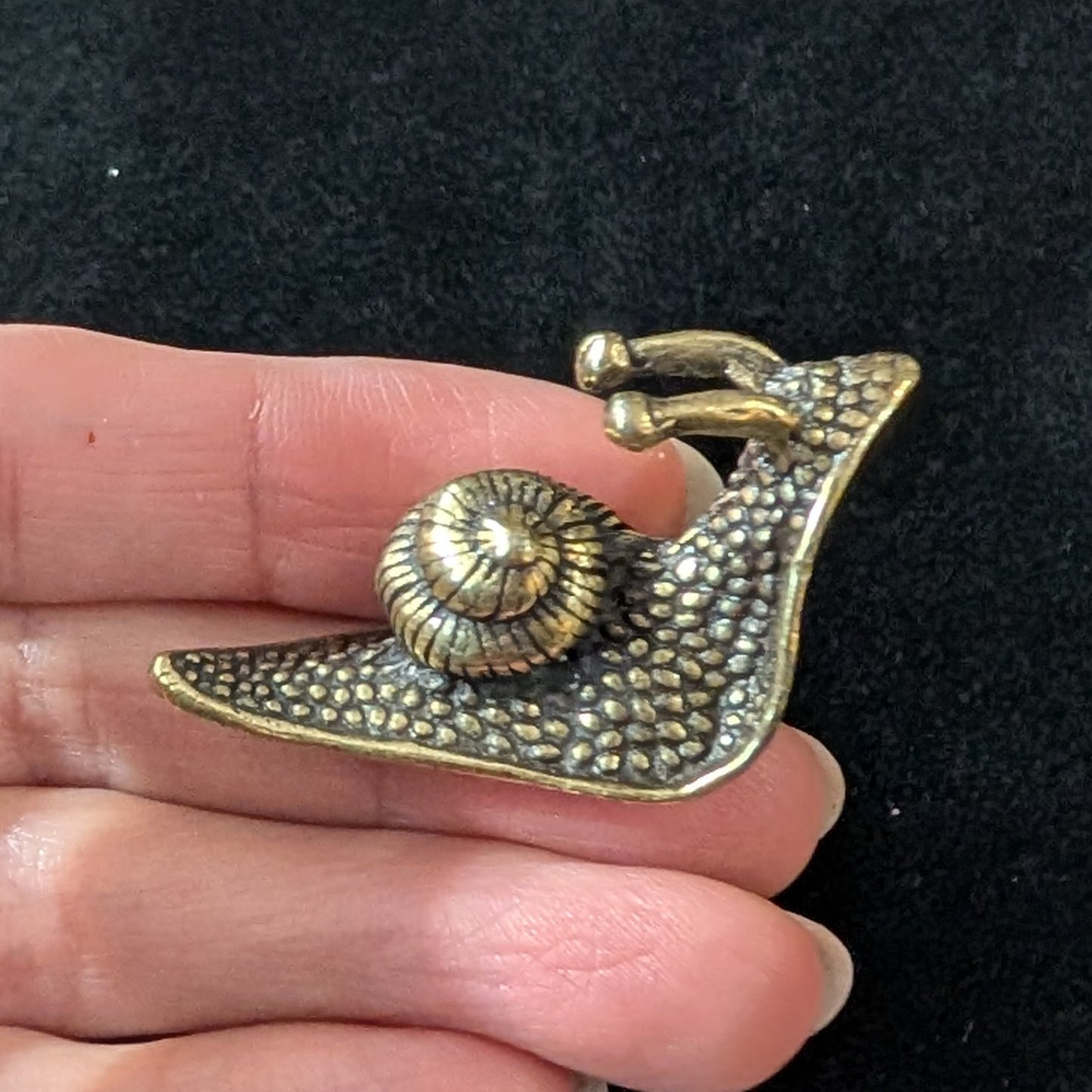 Brass Garden Snail, Small Shell