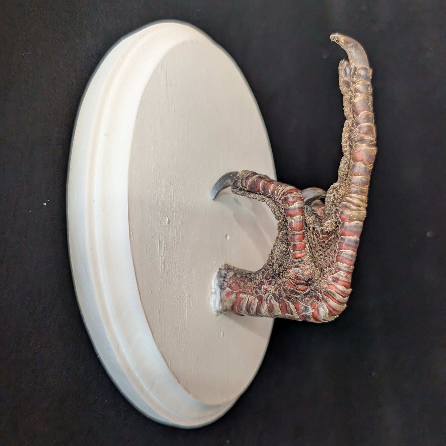 Middle Finger Turkey Claw Plaque