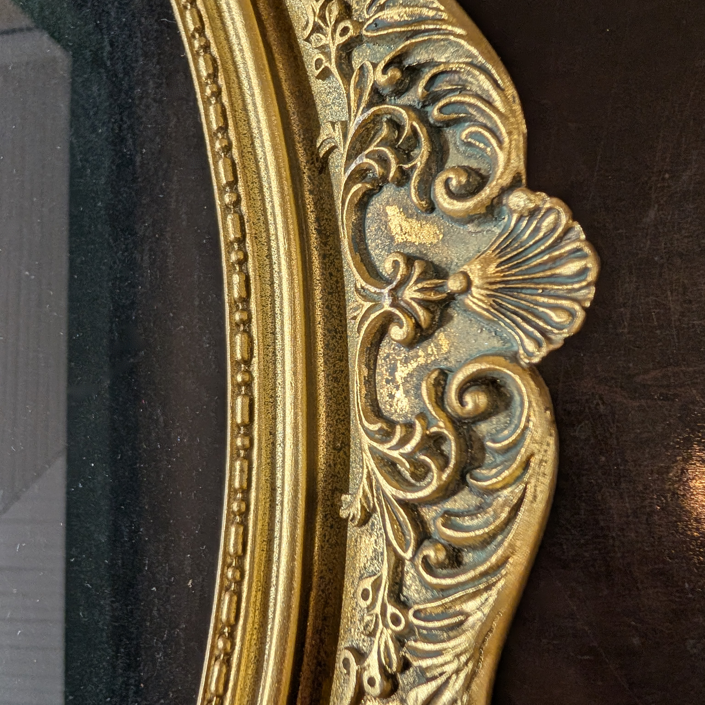 Real Leopard-Winged Stick Insect, Gold Frame