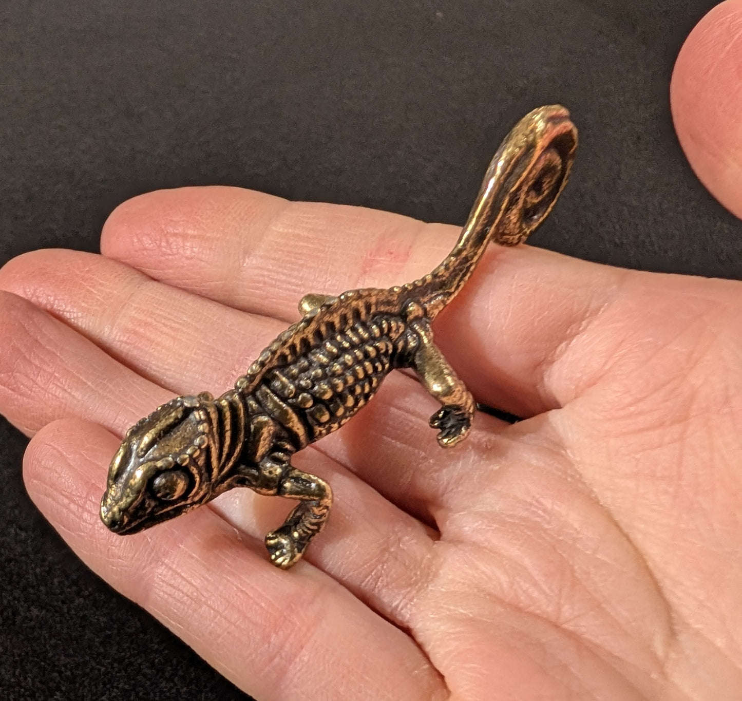 Brass chameleon