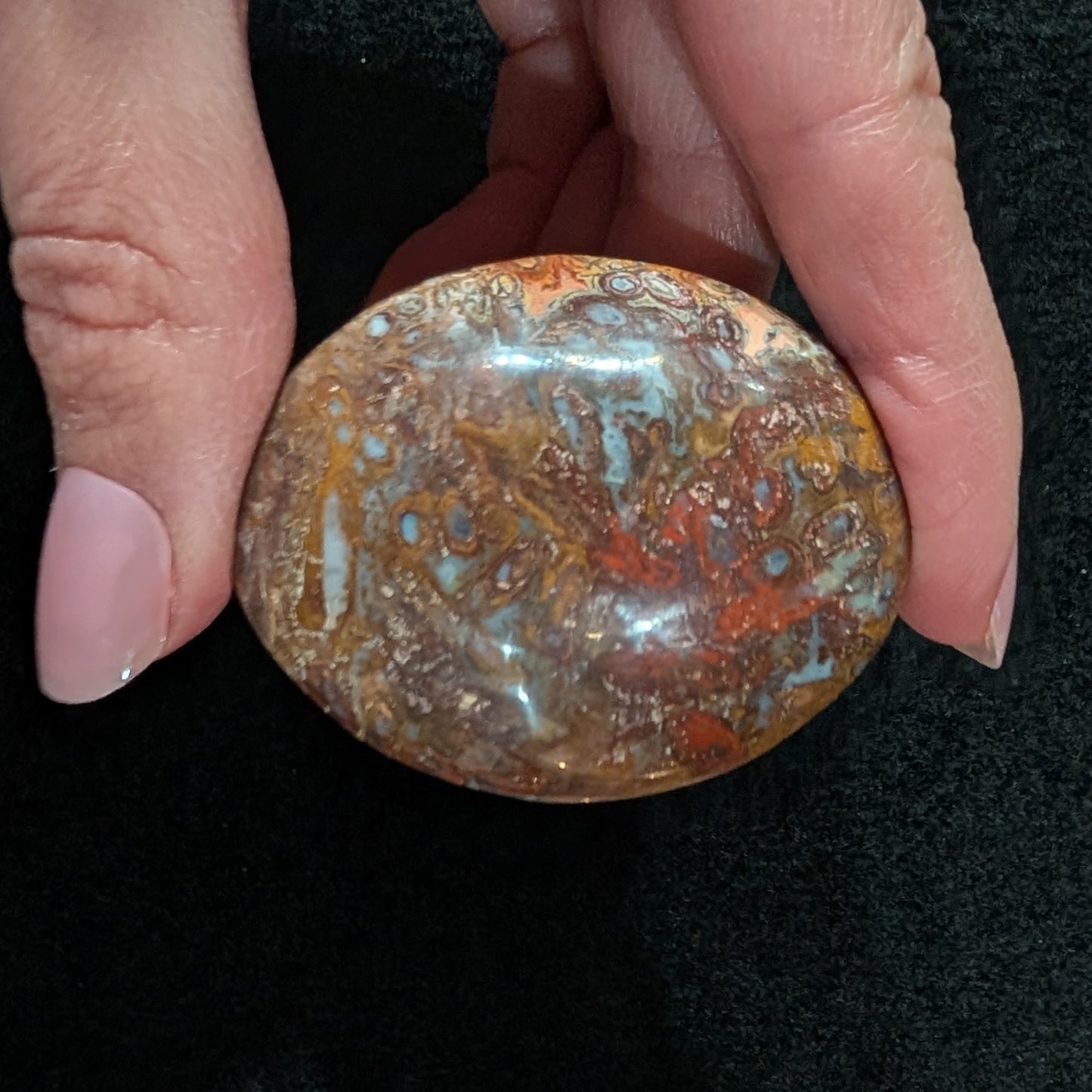 Petrified Palm Root Pocket Stone