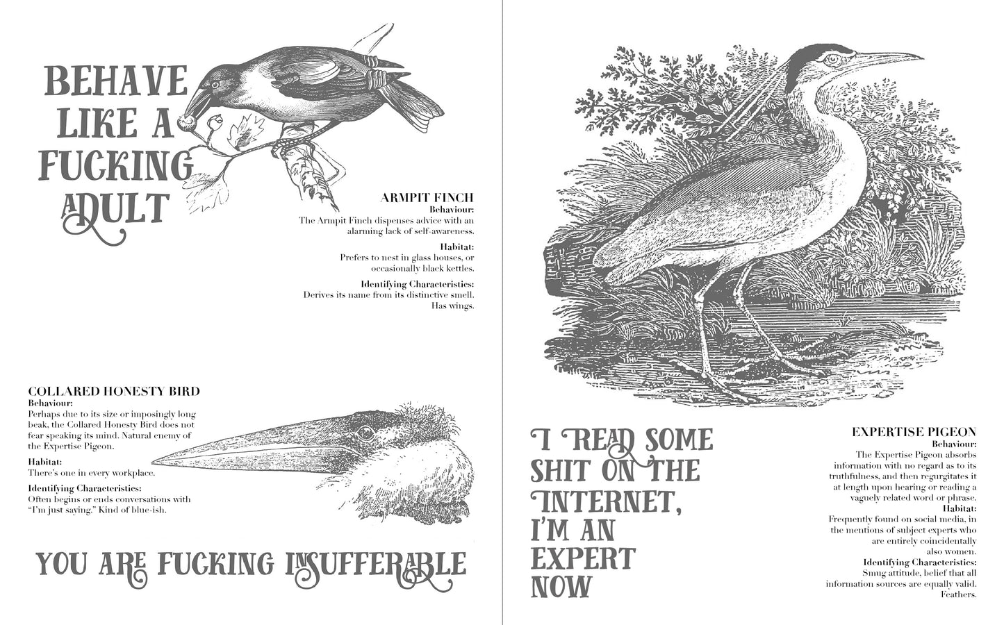 Effin' Birds