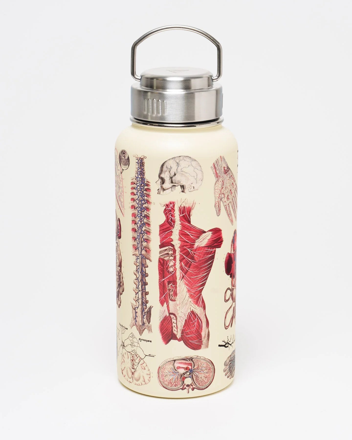 Stainless Steel Bottle: Anatomy, 32oz