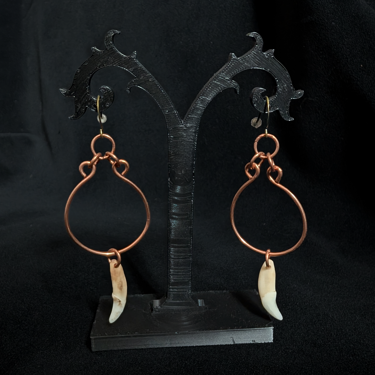 Real Coyote Tooth Earrings