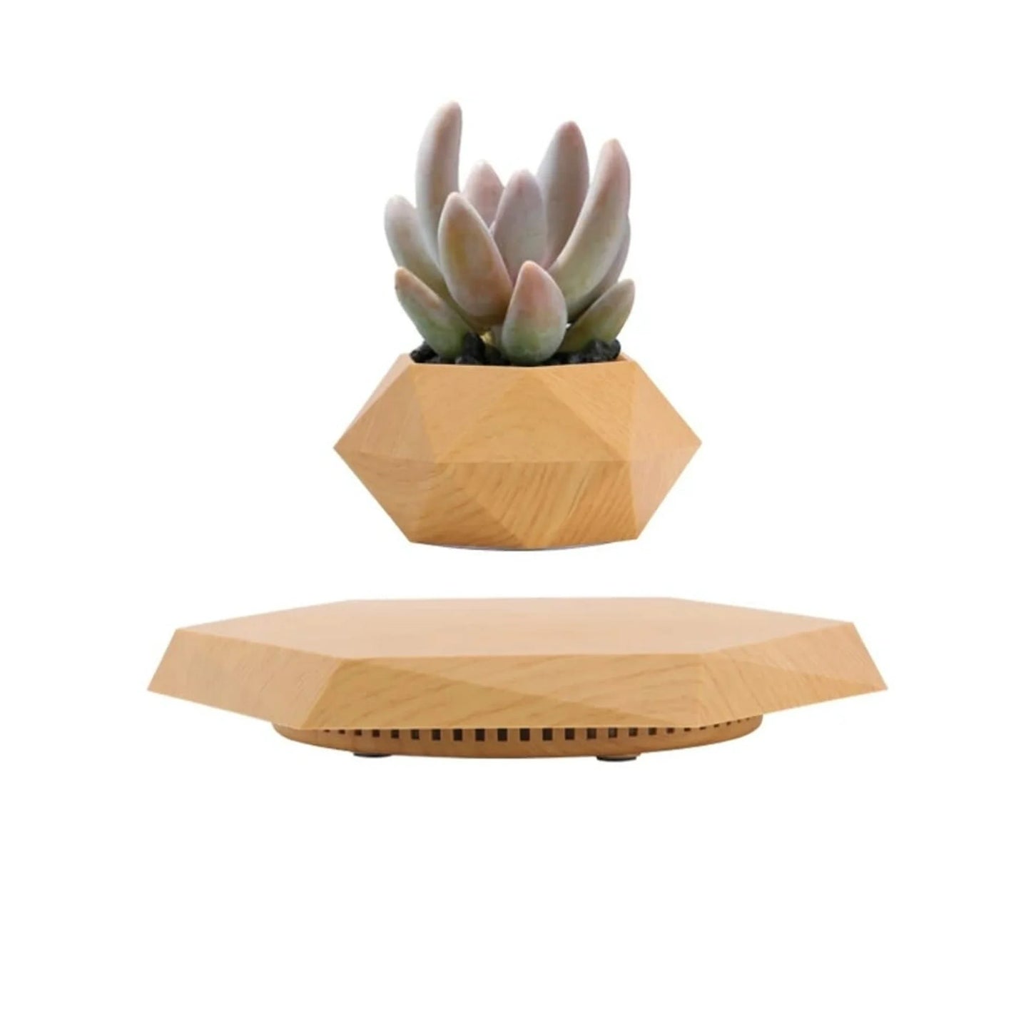Levitating Planter