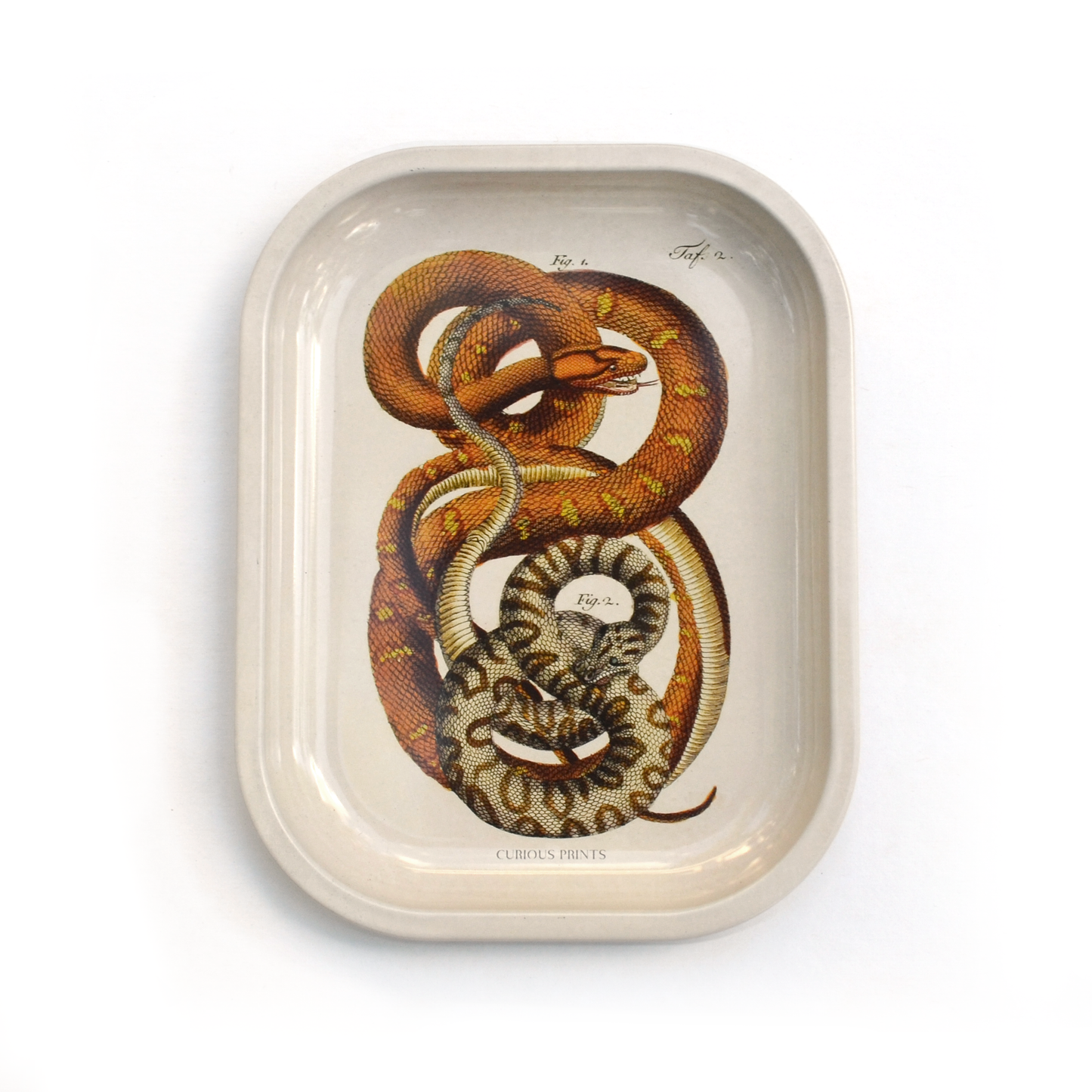 Small Metal Snake Ritual Tray