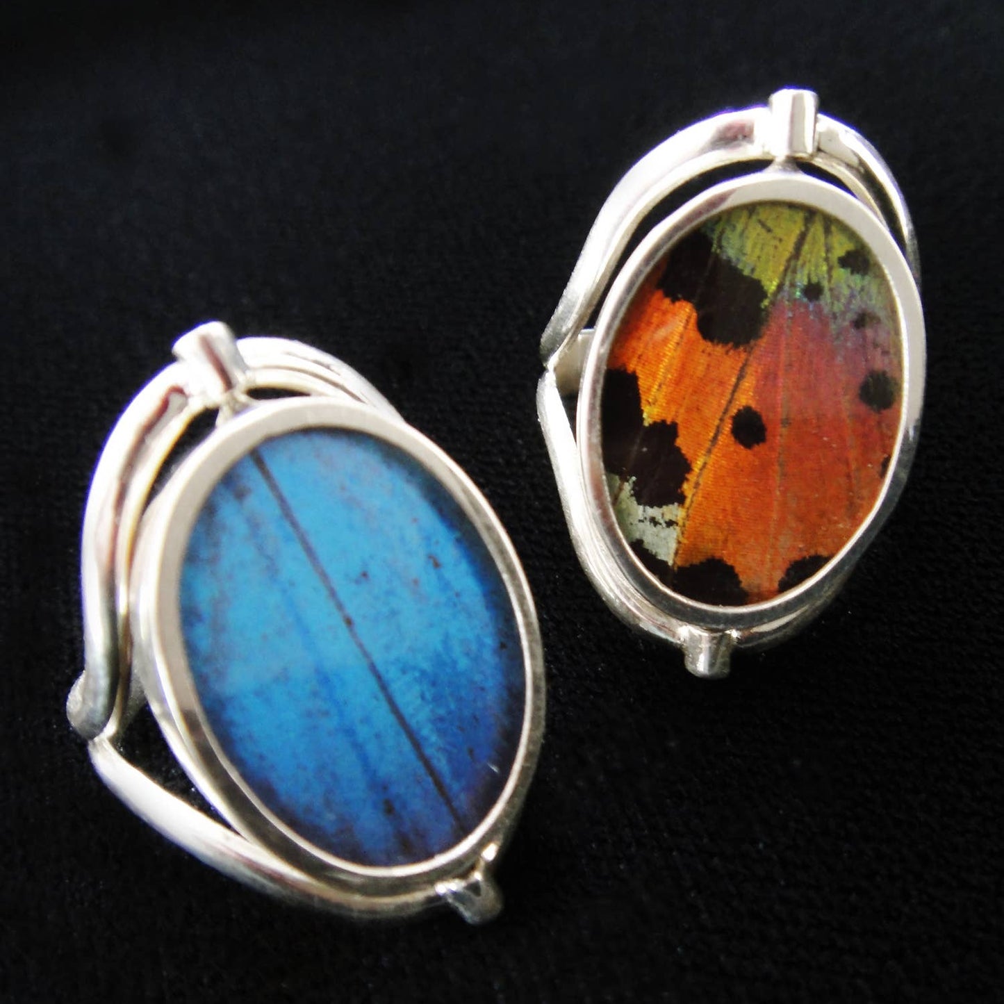Real Butterfly Reversible Blue Morpho/Sunset Oval Ring (adjustable)
