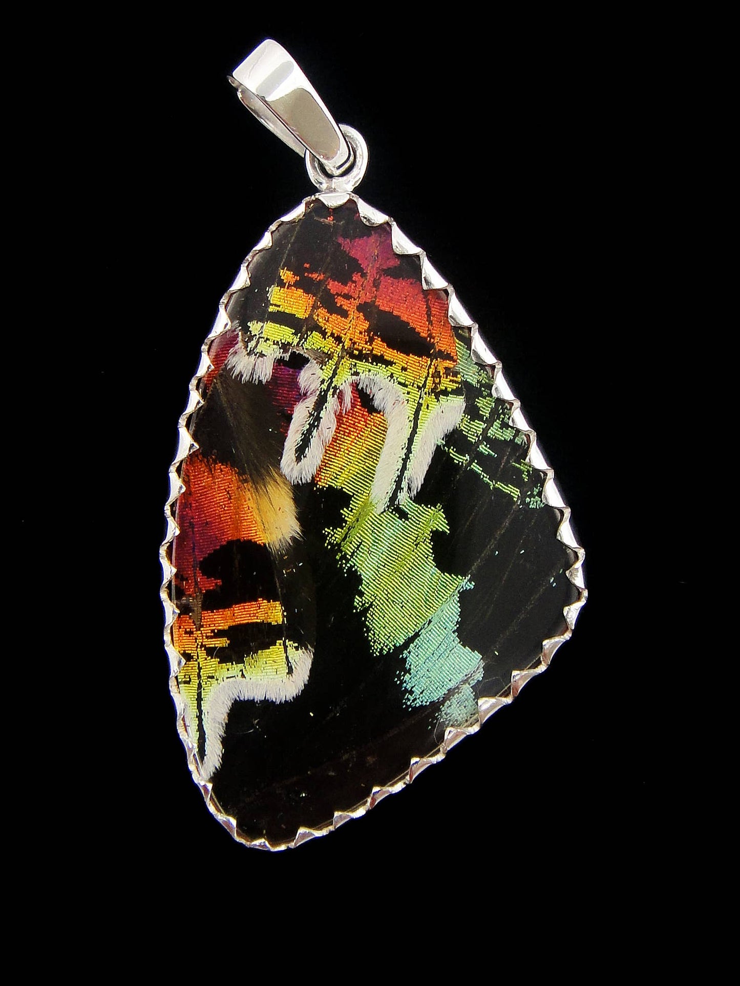 Real Butterfly Wing Pendant - Sunset Moth, Medium