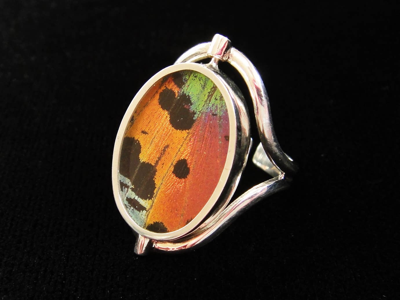 Real Butterfly Reversible Blue Morpho/Sunset Oval Ring (adjustable)