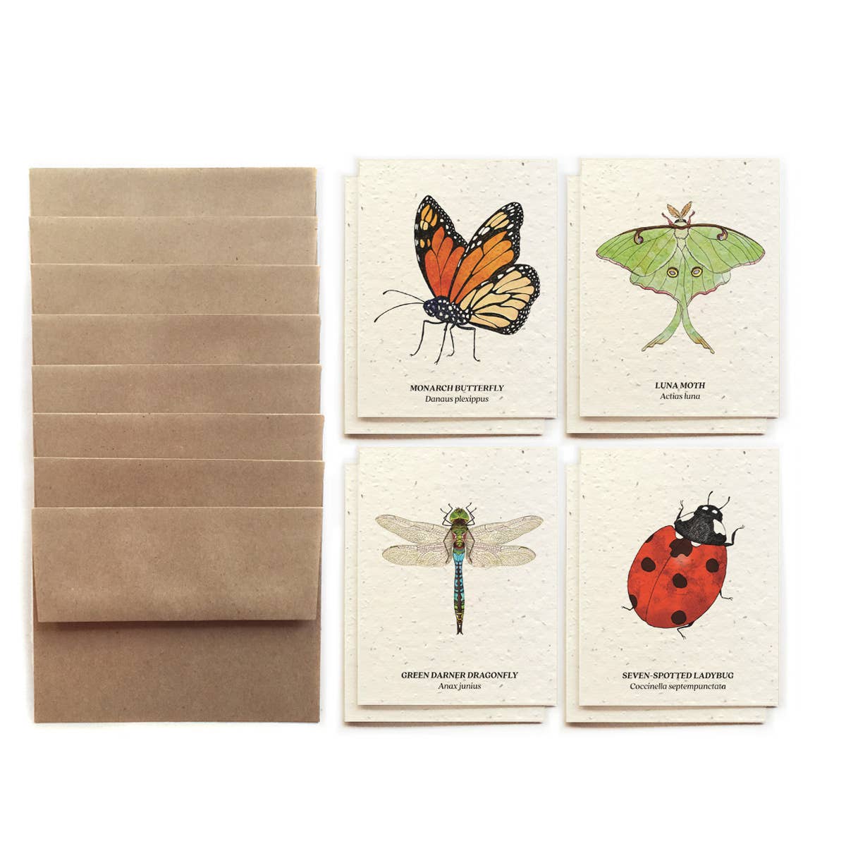 Insect Card Set - Plantable Wildflower Seed Paper