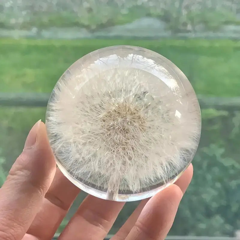 Dandelion Sphere