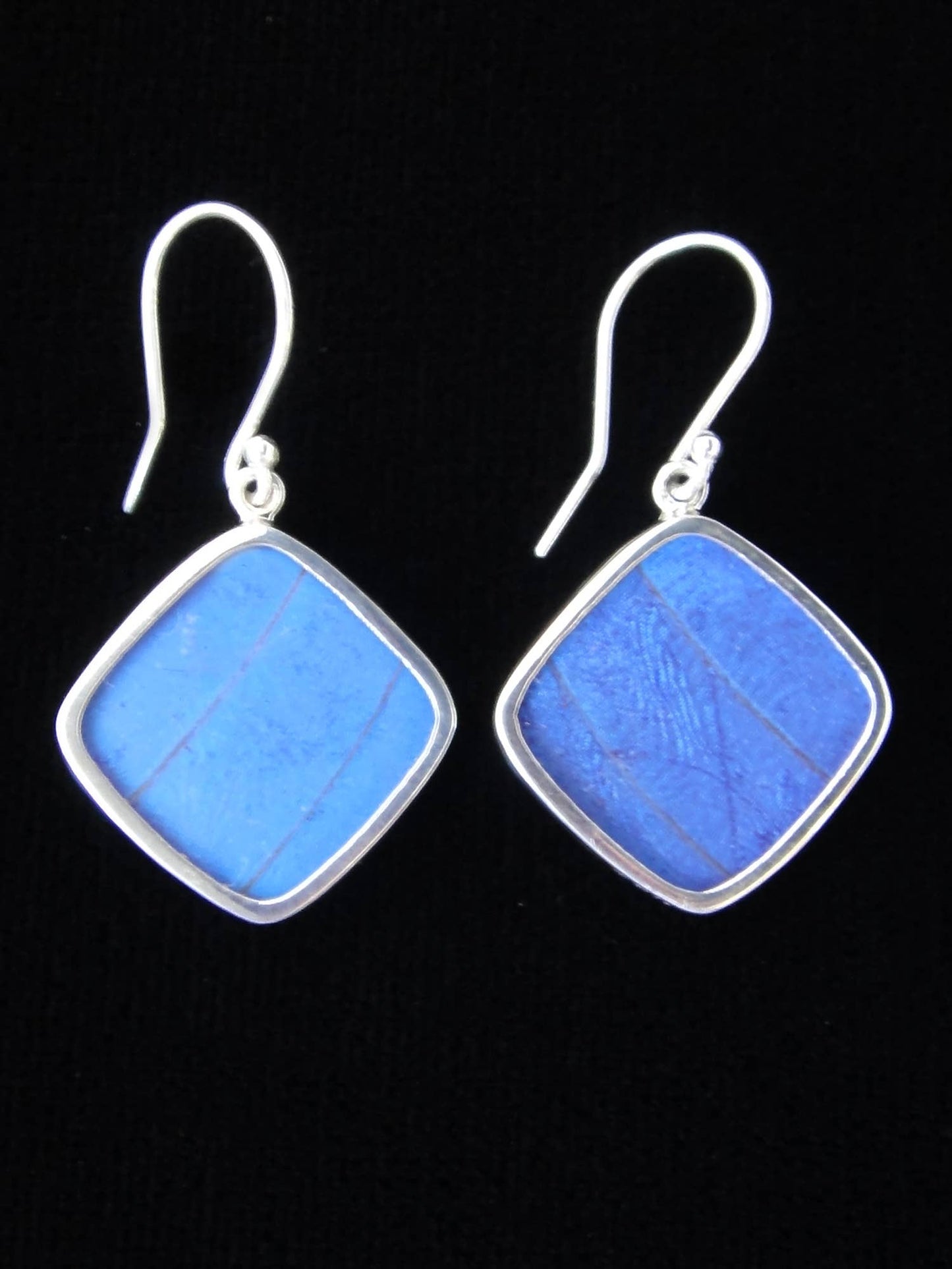 Shimmerwings "Blue Morpho" Butterfly Diamond Earrings