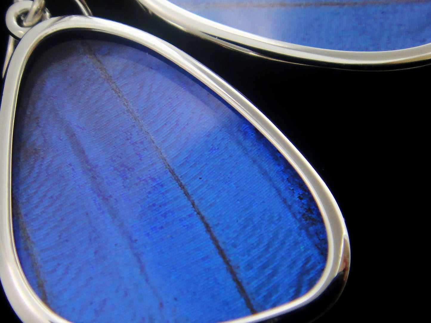 Real Butterfly Wing Earrings - Blue Morpho, Small