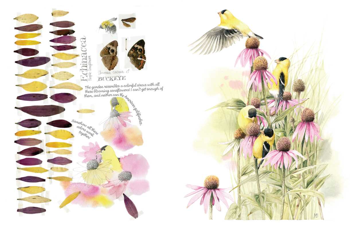 Inspired by Nature Sketchbook by Marjolein Bastin