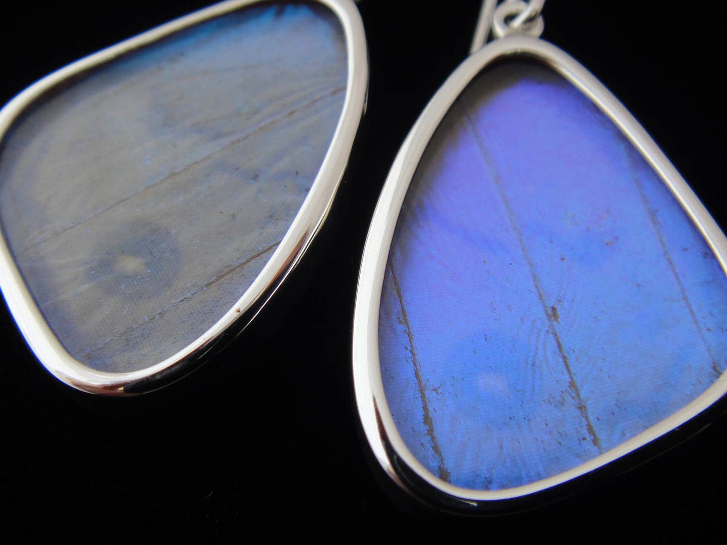 Real butterfly wing earrings: "Pearl Blue", small