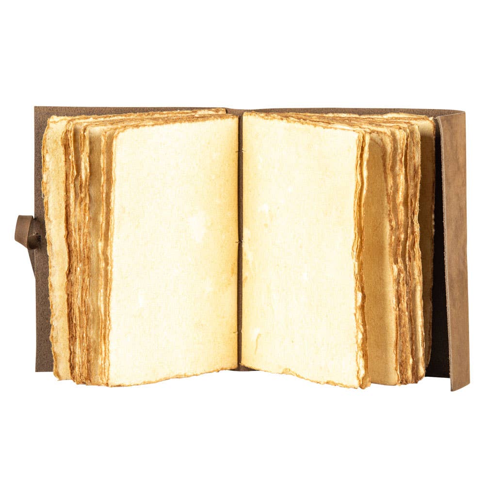 Tree of Life Journal