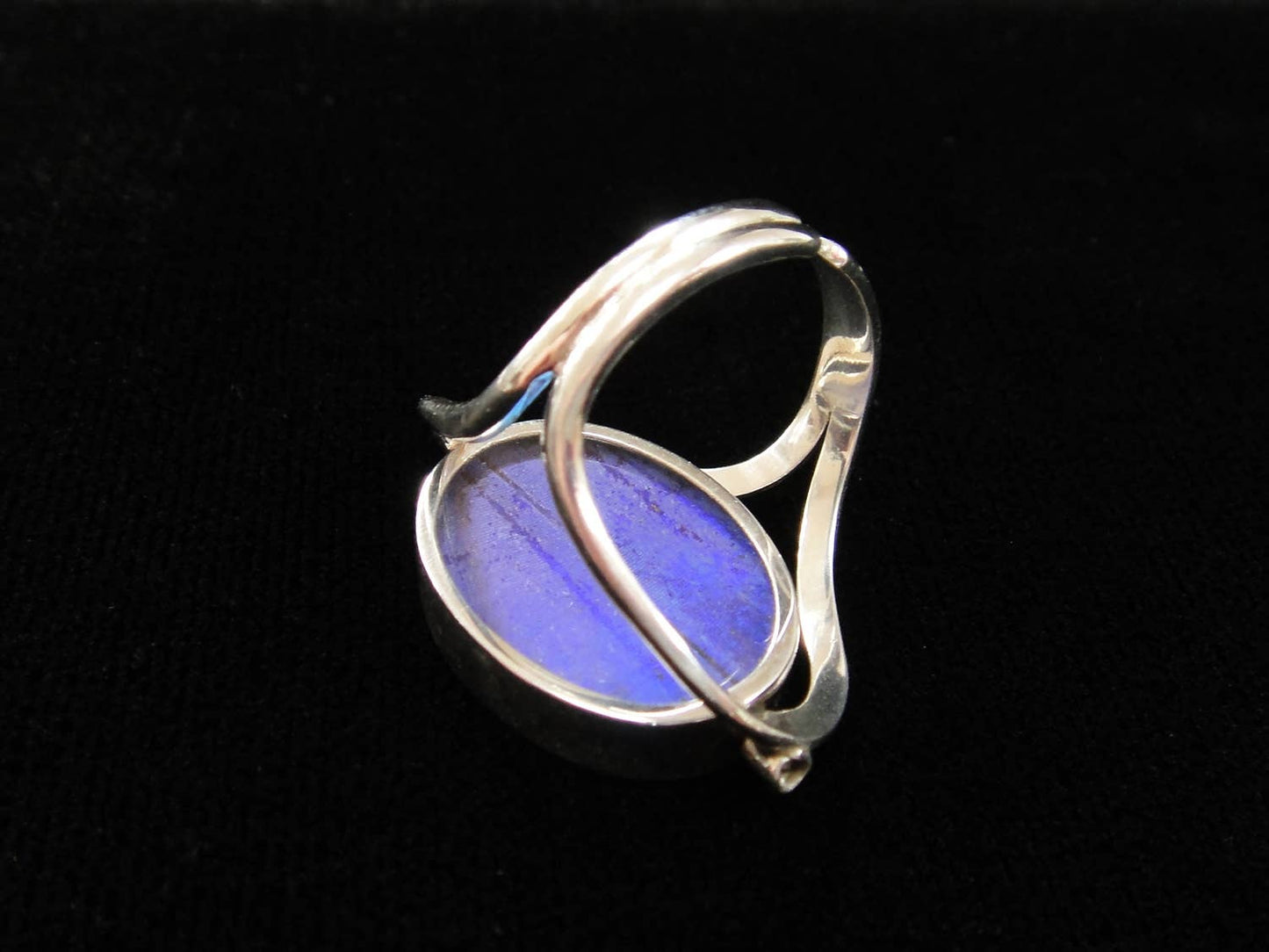 Real Butterfly Reversible Blue Morpho/Sunset Oval Ring (adjustable)
