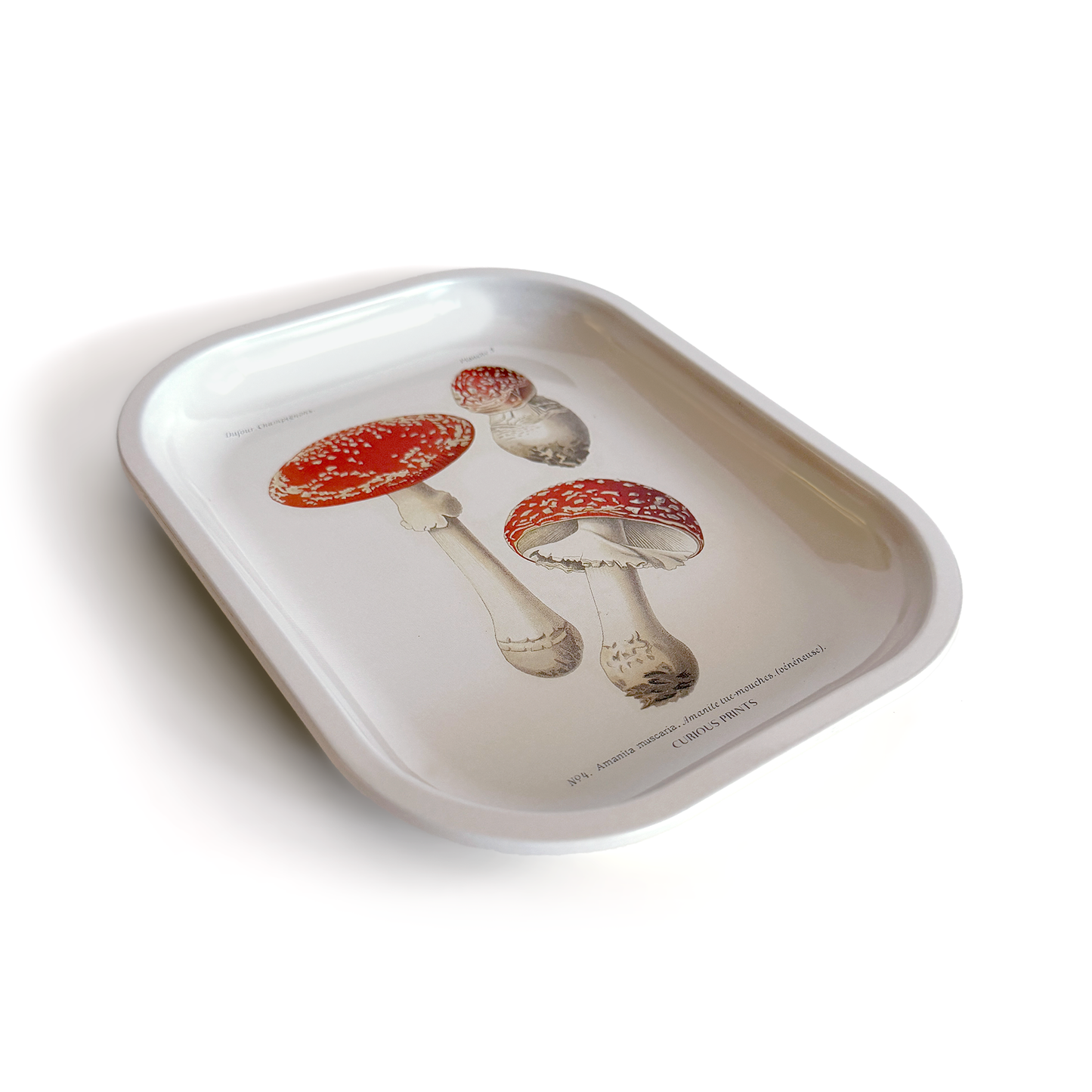 Small Metal Magic Mushroom Ritual Tray
