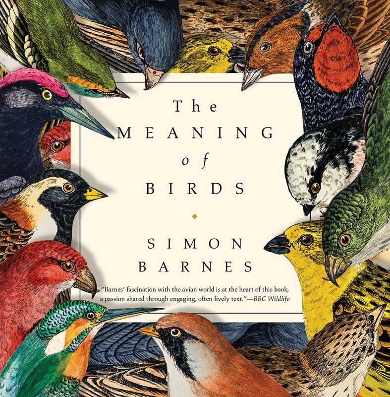 Meaning of Birds by Simon Barnes