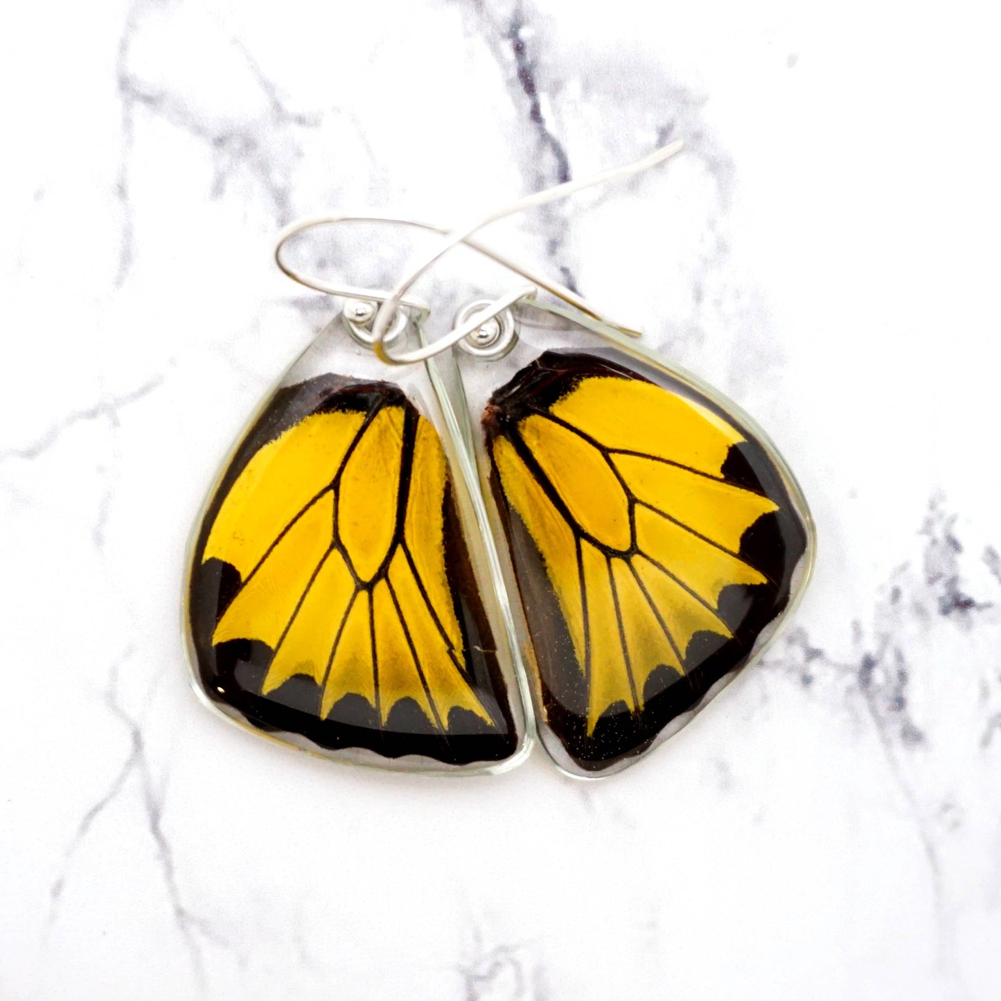 Real Butterfly Wing Earrings, Golden Birdwing