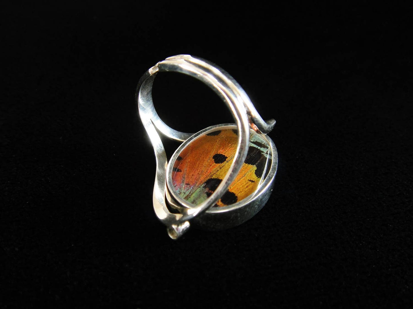 Real Butterfly Reversible Blue Morpho/Sunset Oval Ring (adjustable)