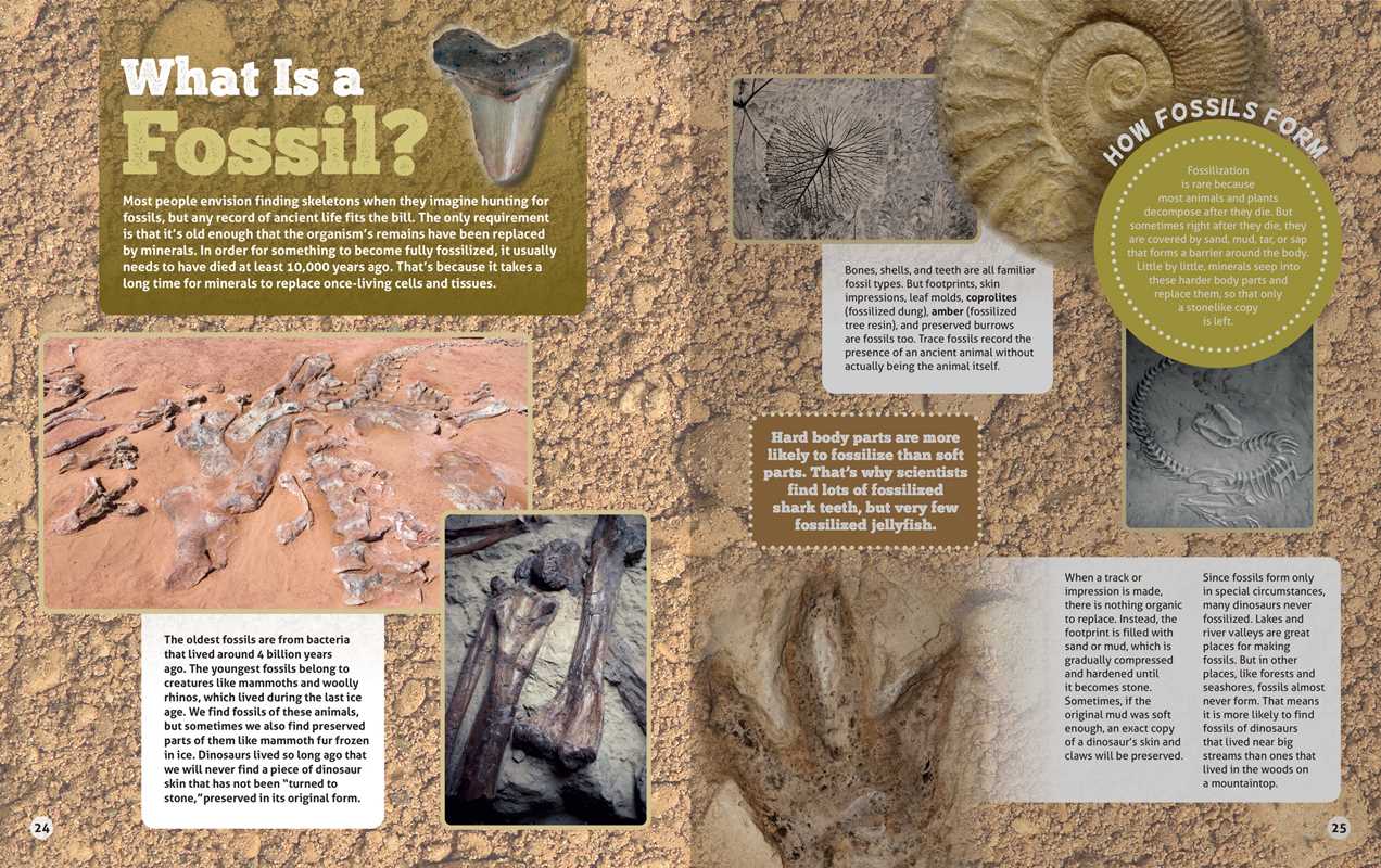 Smithsonian Kids: Dinosaur Fossil Hunter