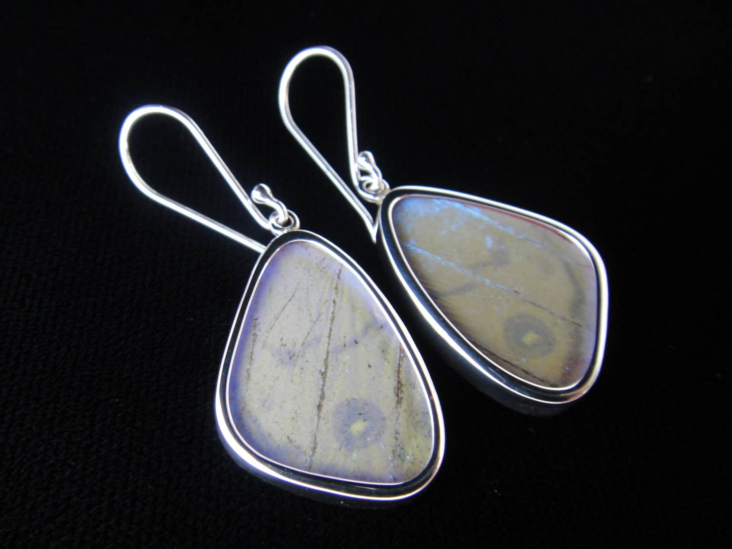 Real butterfly wing earrings: "Pearl Blue", small