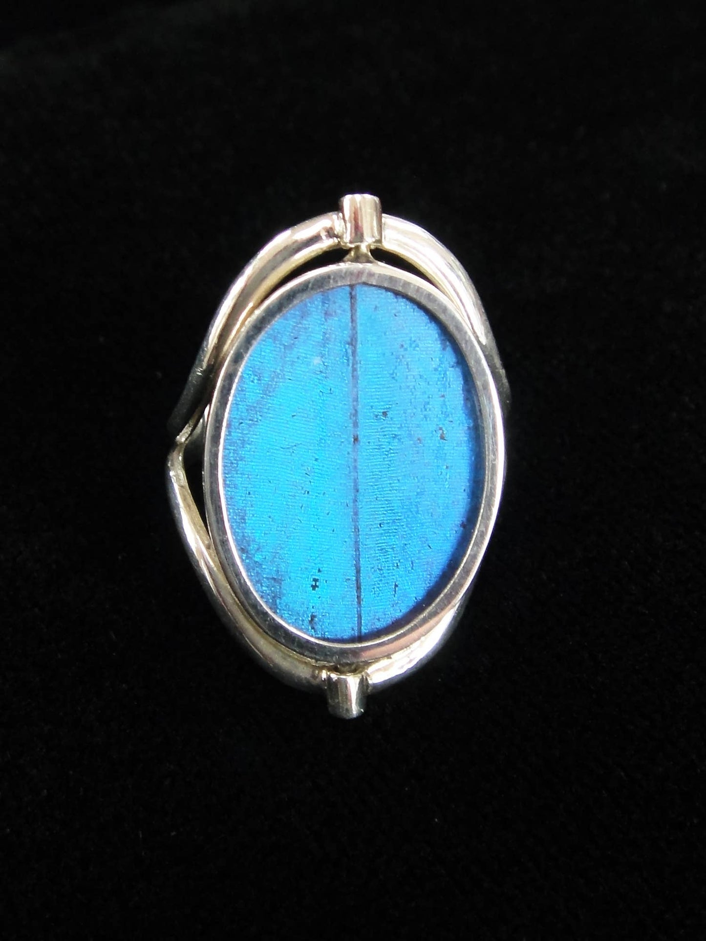 Real Butterfly Reversible Blue Morpho/Sunset Oval Ring (adjustable)