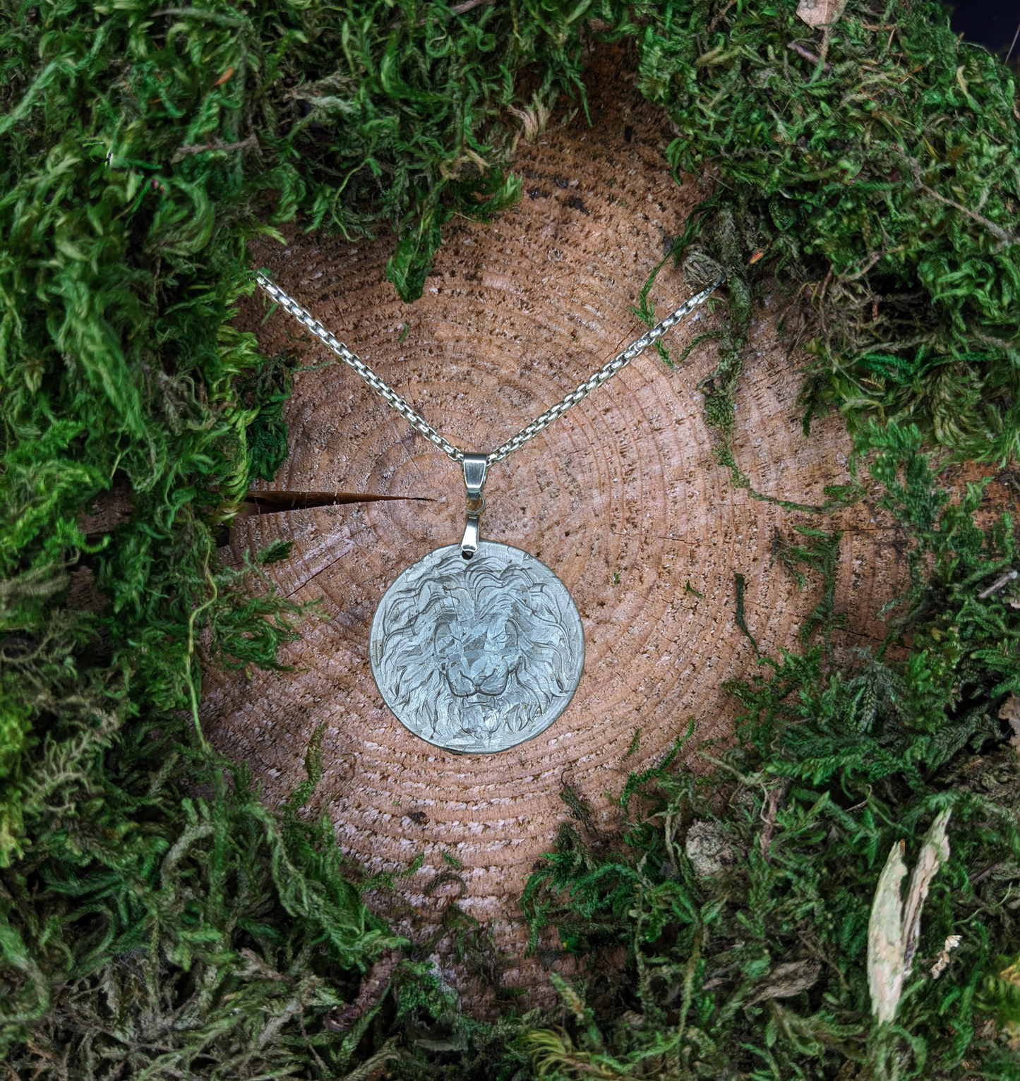 Natural Muonionalusta Meteorite Carving Lion Pendant