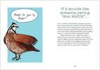 Bird Talk: Hilariously Accurate Ways to Identify Birds