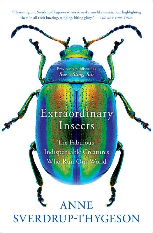 Esoteric Insect Extraordinary Insects – Esoterica