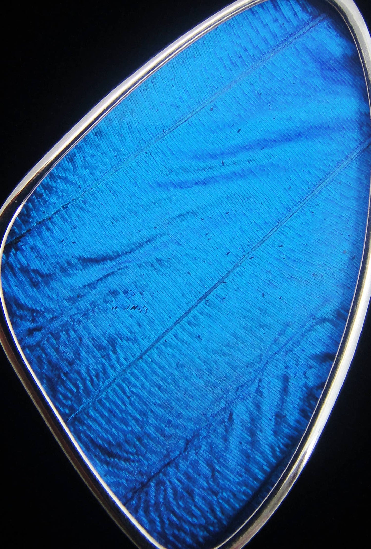 Real Butterfly Wing Pendant - "Blue Morpho", Large